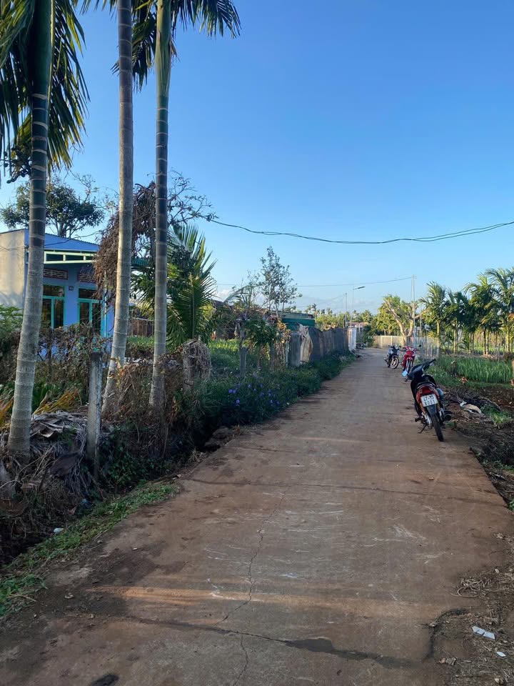 Đất nền Cư Suê 115m² giá 725 triệu - Sổ đỏ chính chủ