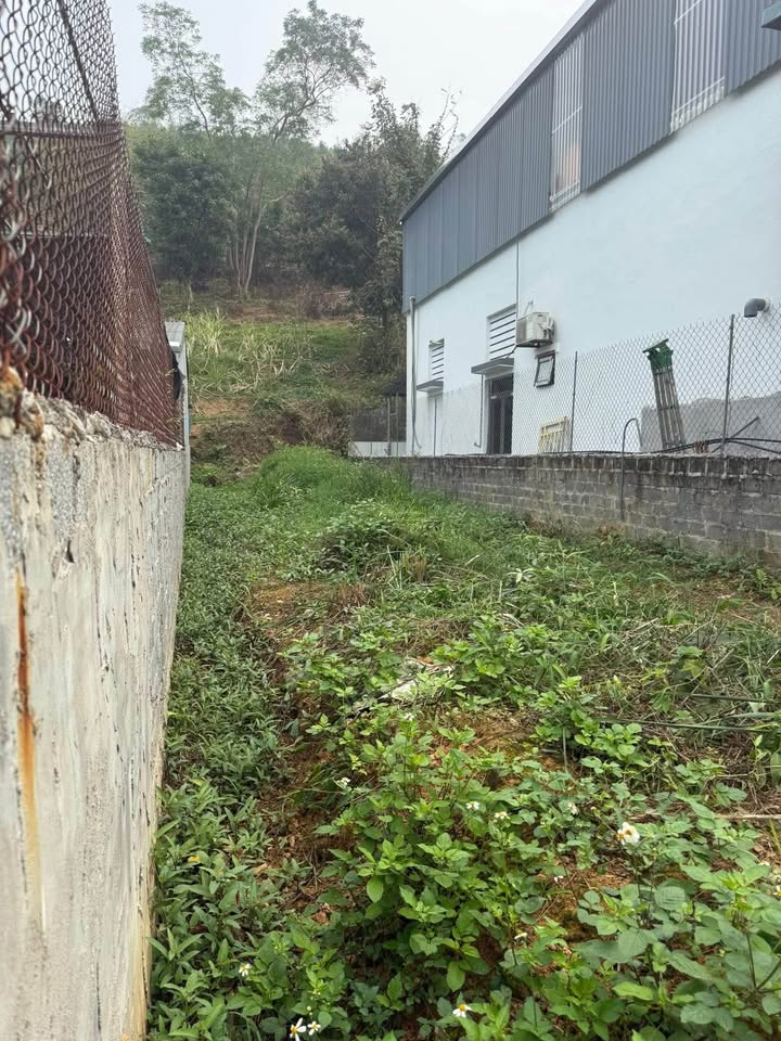 Đất nền Vũ Trọng Phụng, Sa Pa 102m² - Pháp lý rõ ràng