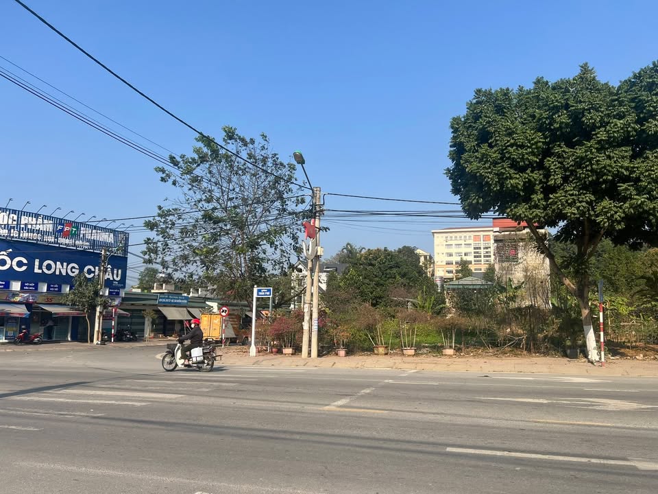 Đất nền TP Lào Cai 100m² - Kinh doanh sinh lời ngay!