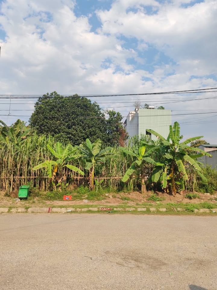 Đất nền Bến Đền Lào Cai 97m² Sổ đỏ sẵn - Vị trí đắc địa