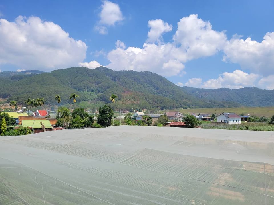 Nhà Riêng Đơn Dương 162m² - Sổ Đỏ Sẵn, Giá Tốt Hiếm Có!