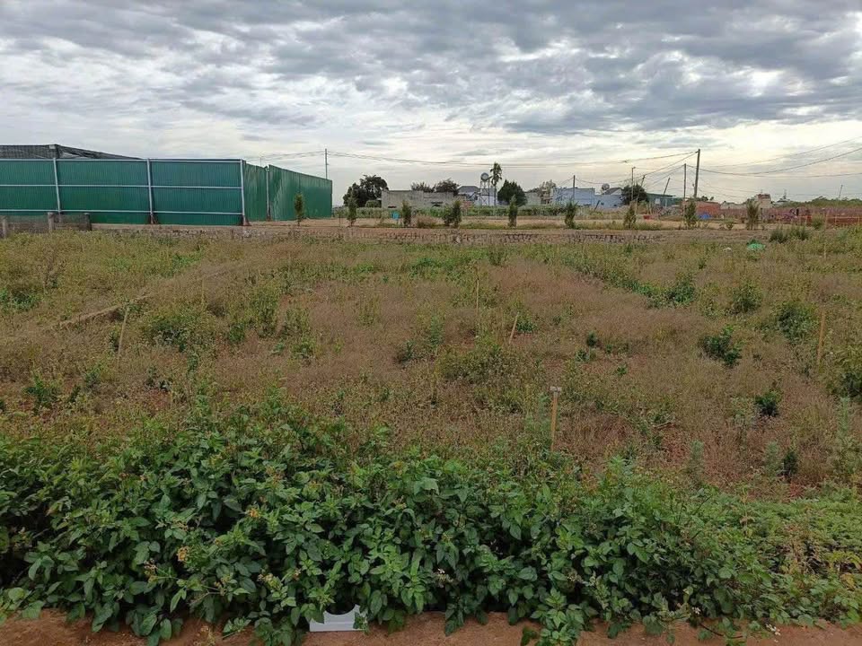 Đất nền Phú Hội, Đức Trọng 85m² - Sổ đỏ chính chủ, đường ô tô