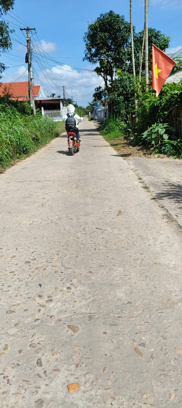 Đất vườn Sơn Tịnh 500m² giá 900 triệu - Tiềm năng đầu tư dài hạn!