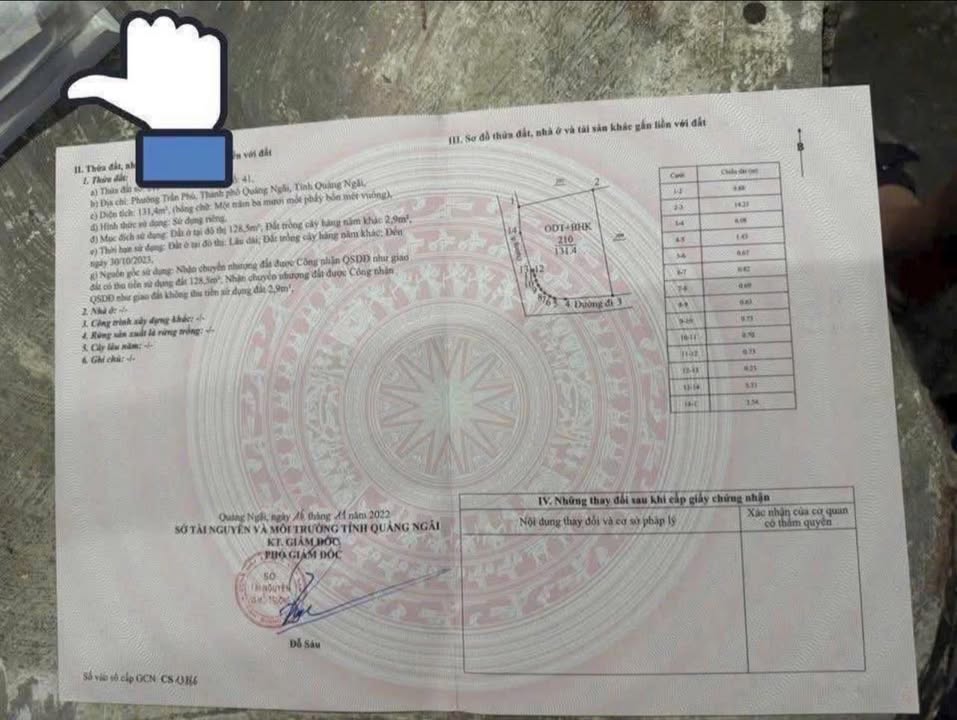 Bán Gấp Nhà Góc 131m² Hẻm Xe Hơi Nguyễn Đình Chiểu, Quảng Ngãi - Giá Tốt