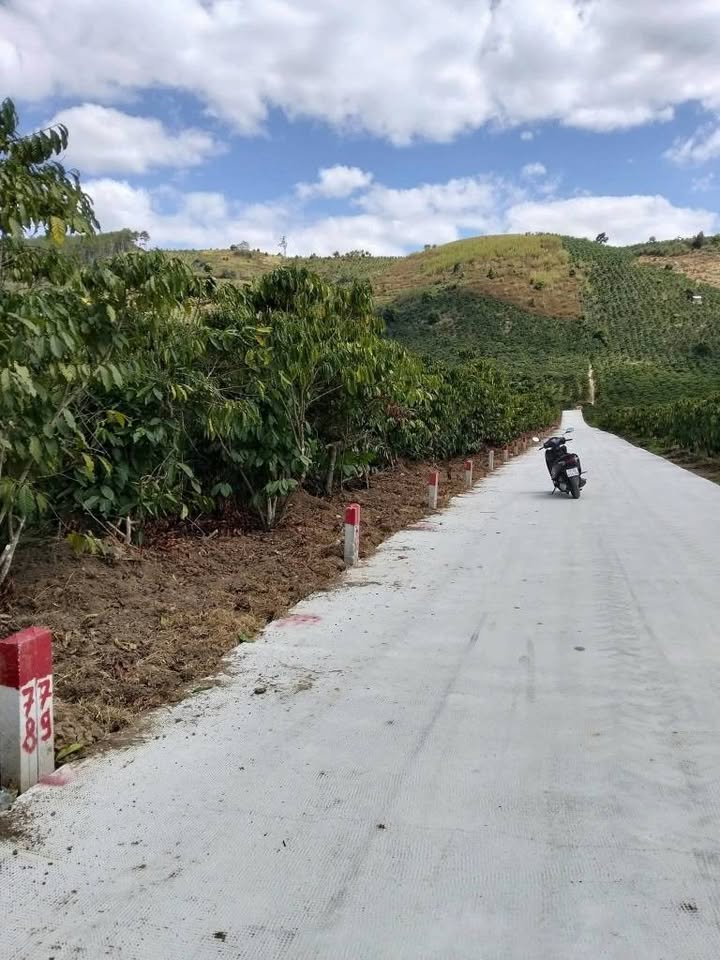 Bán Gấp 3 Lô Đất Vàng Xã Đạ Đờn, Lâm Hà - 300m²/Lô - Sổ Riêng