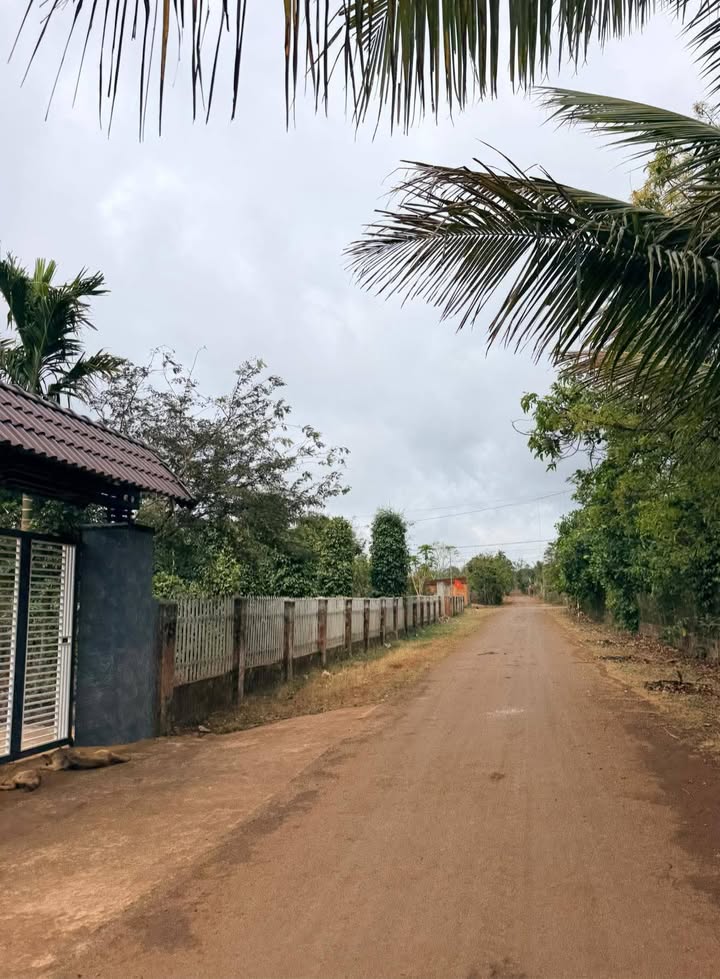 Đất nền Cư Bao Buôn Hồ 300m² giá 400 triệu - Sổ đỏ sẵn sàng!