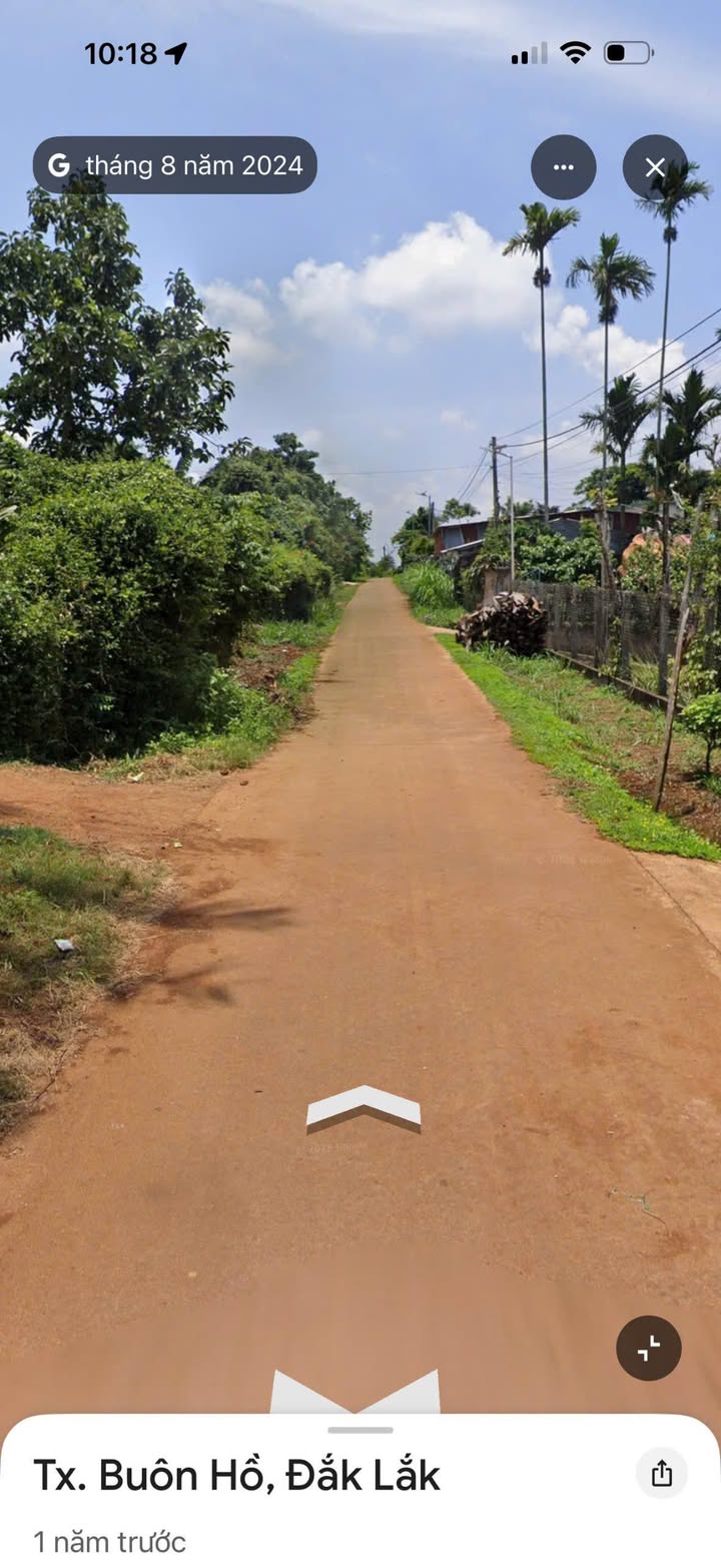 Đất nền Cư Bao 250m² giá 350 triệu/lô - Pháp lý rõ ràng!