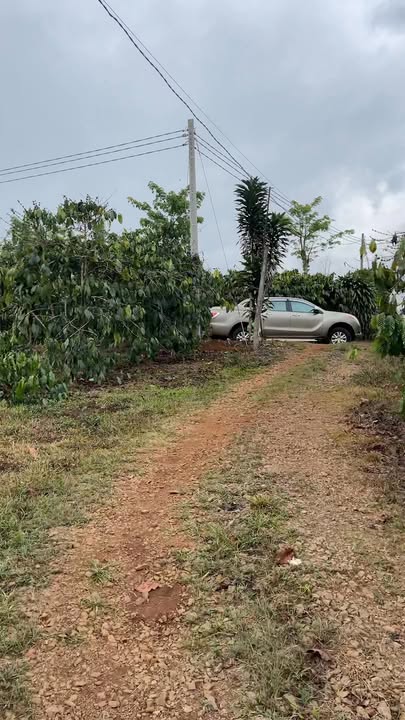 Đất cafe Thôn 7, Lộc Quảng, Bảo Lâm gần 6 sào - Đầu tư dài hạn!