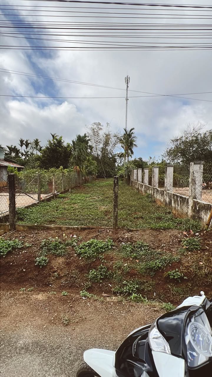 Đất nền Đạt Lý 300m² giá 1.39 tỷ - Sổ đỏ chính chủ