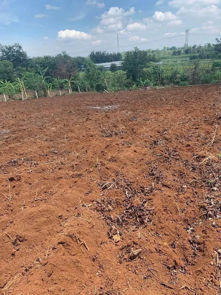 Đất nền Buôn Ma Thuột 4200m² - Tiềm năng tăng giá vượt trội!