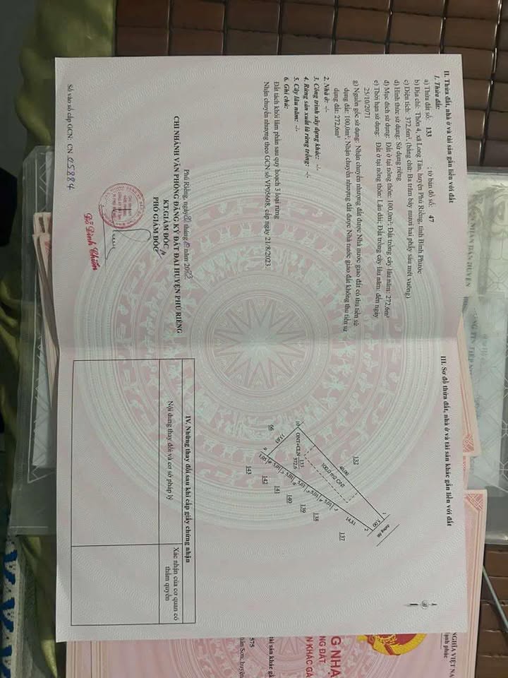 Đất Nền Nở Hậu 200m² Phú Riềng, Bình Phước - Hơn 3 Tỷ, Sẵn Sổ Hồng