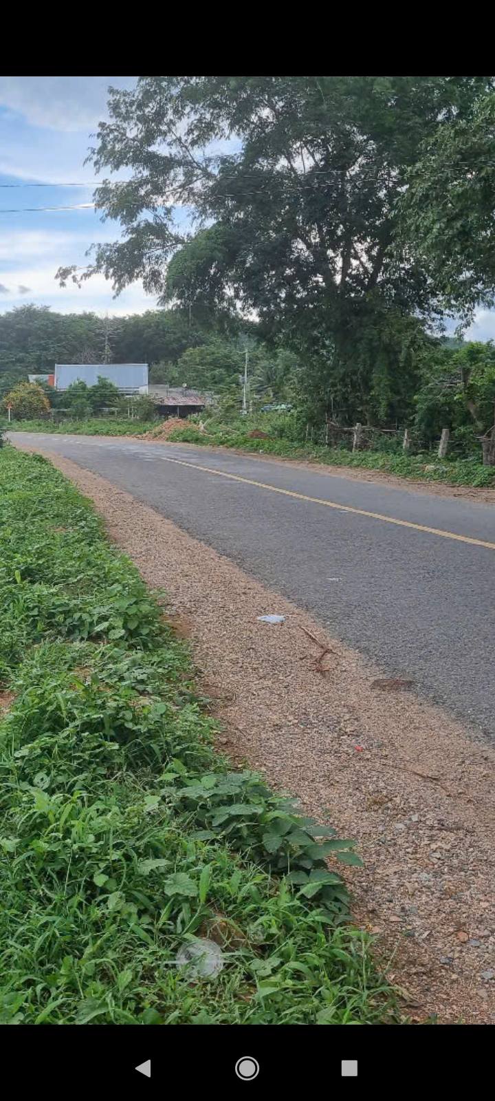 Bán Đất Mặt Tiền DT 22 Bình Thuận 1.6ha - Lý Tưởng Làm Kho Xưởng