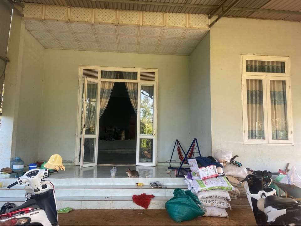 Nhà riêng Kiến Thành Đắk R'lấp 1000m² - Giá tốt hiếm có!