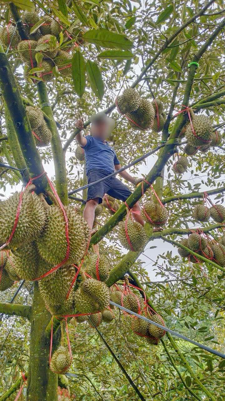 Đất Vườn Đắk Wer 5986m² - Đầu tư sinh lời, view hồ Ea Hưu!