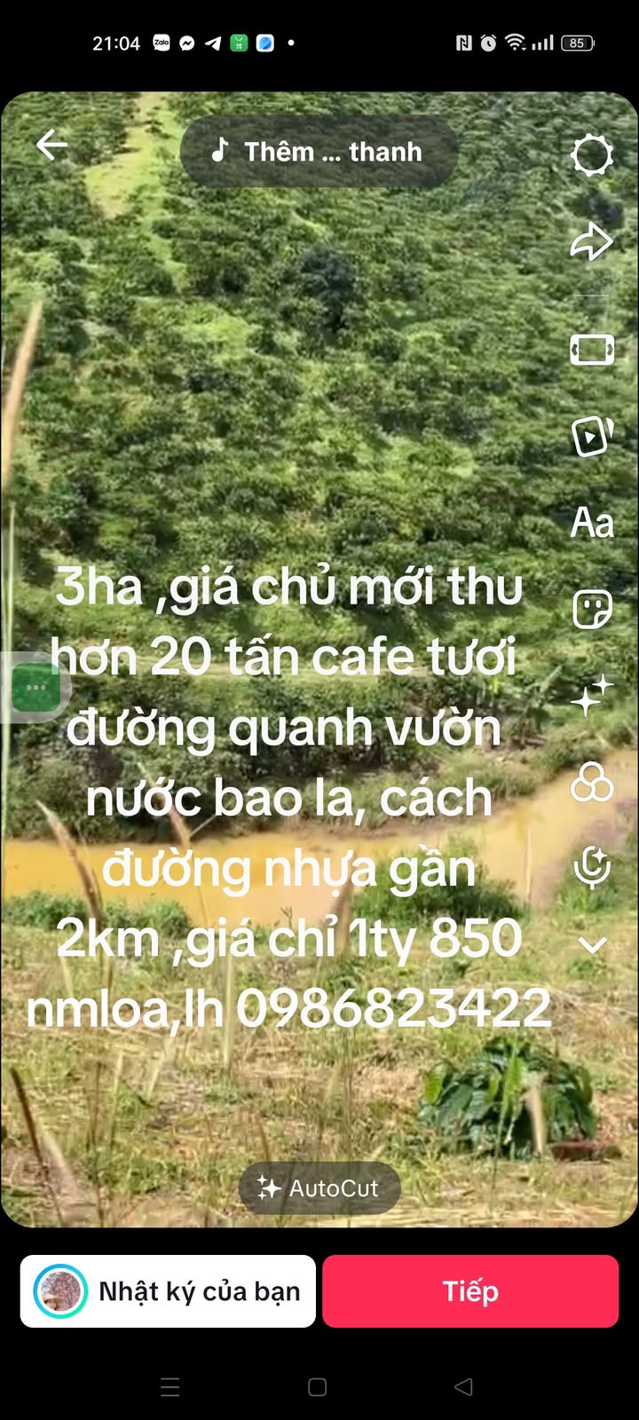 Đất Farm 3ha Đắk Plao, Đắk Nông - Sinh thái xanh, sẵn thu hoạch!