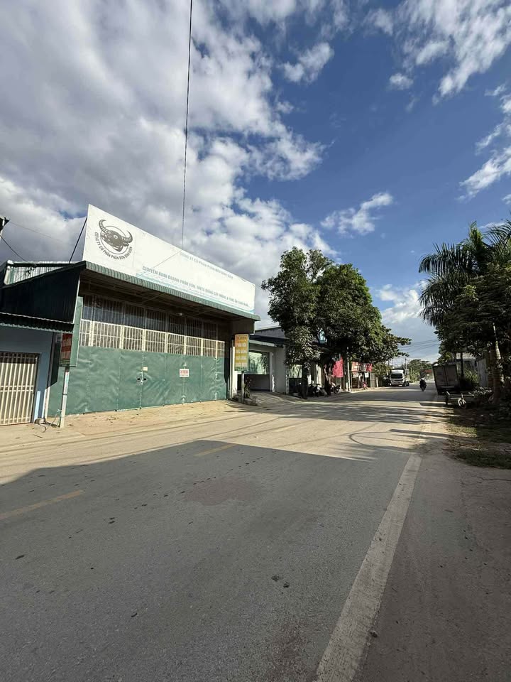 Đất Vàng Mặt Tiền Quốc Lộ 12, Điện Biên - 248m² Kinh Doanh Đỉnh Cao