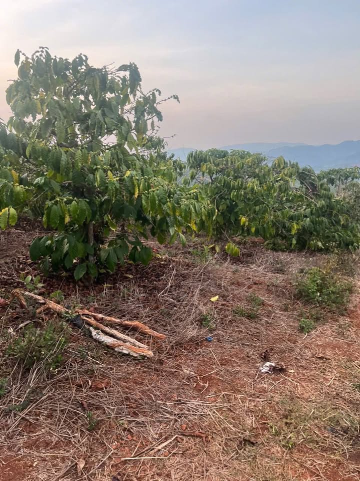 Đất nền Long Đất 1080m² Sổ Đỏ Chính Chủ - Giá Tốt 1 Tỷ