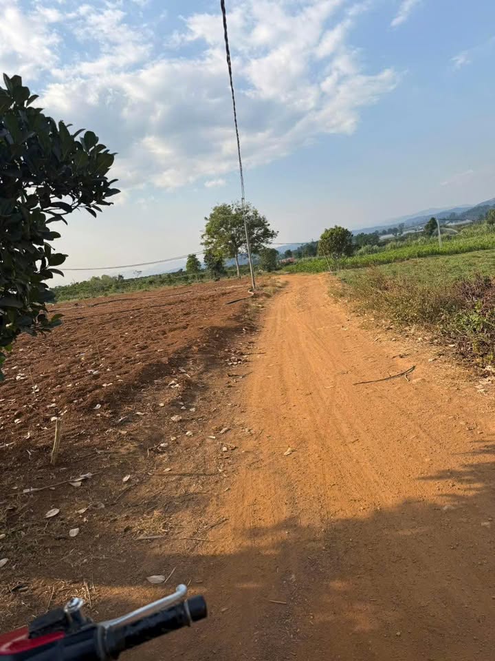 Bán 1.9 Sào Đất Mặt Đường Rộng - Xã Bình Thạnh, Đức Trọng - 900 Triệu