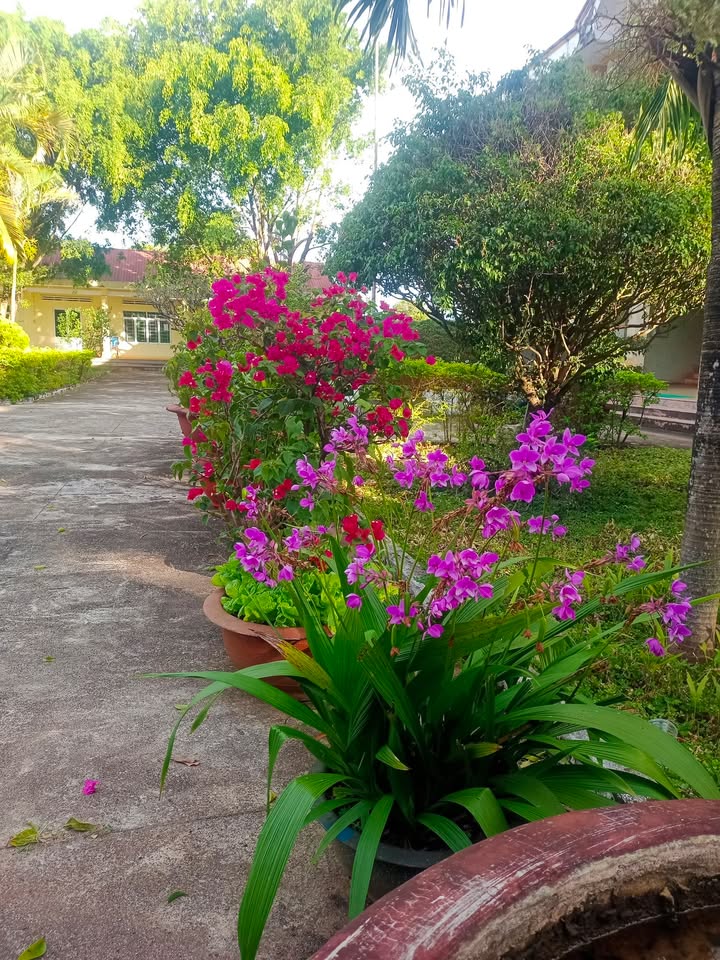 Đất Vườn Ia Grăng, Gia Lai 8ha giá 1.7 tỷ - Giá đầu tư tốt!