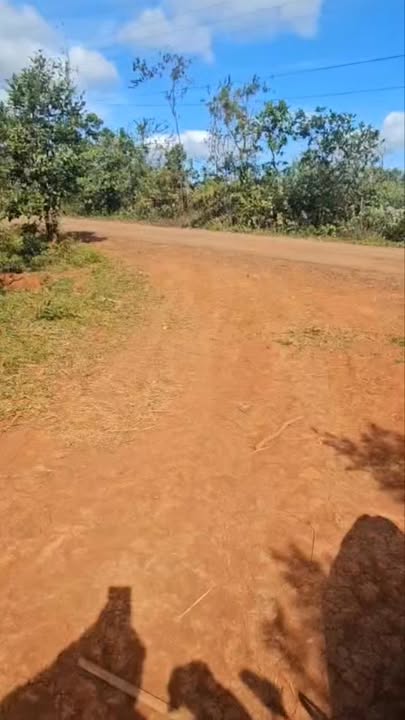 Đất đỏ Bazan Gia Lai 25ha - Sổ hồng sẵn, giá 1.5 tỷ/ha