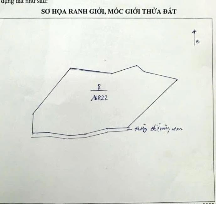 Bán 2.4ha Đất Farm Chư Păh, Gia Lai - Cạnh Suối, Sẵn Sàng Khai Thác