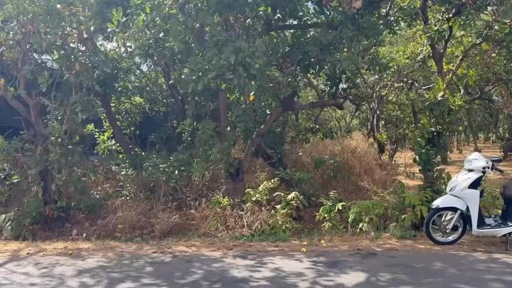 Đất nền Ia Tô, Gia Lai - 230m² bám đường liên huyện, giá chỉ từ 3xx triệu