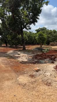 Đất thổ cư Ia Púch 720m² 540 triệu - Sổ đỏ chính chủ