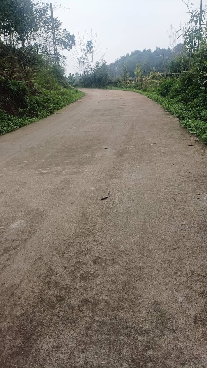 Đất nền Xã Ấm Hạ, Hạ Hoà 1600m² - Sổ đỏ chính chủ!