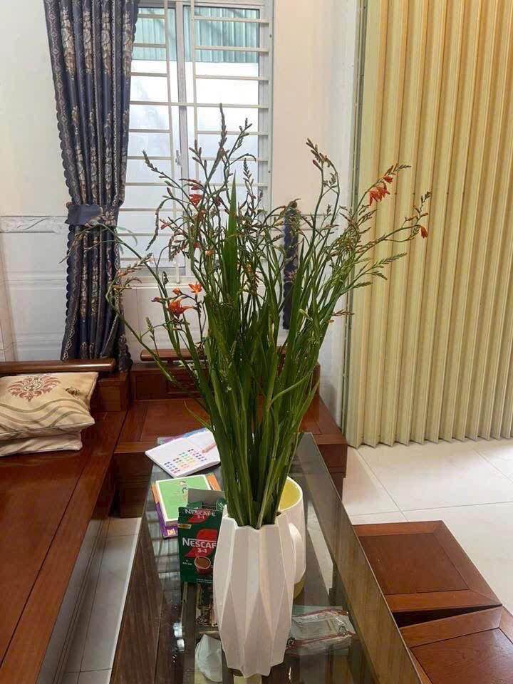 Nhà riêng Thành Thái Quy Nhơn 40m² - Sẵn sàng ở ngay!