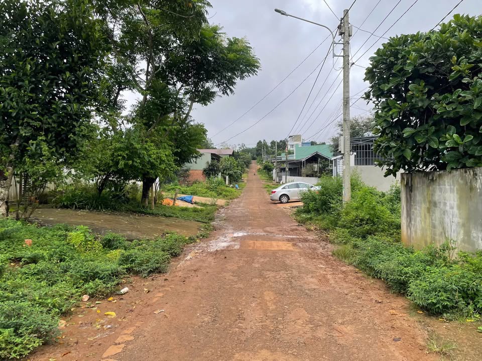 Đất nền Hẻm 01 Bùi Dự, Pleiku 140m² - Sổ đỏ chính chủ!