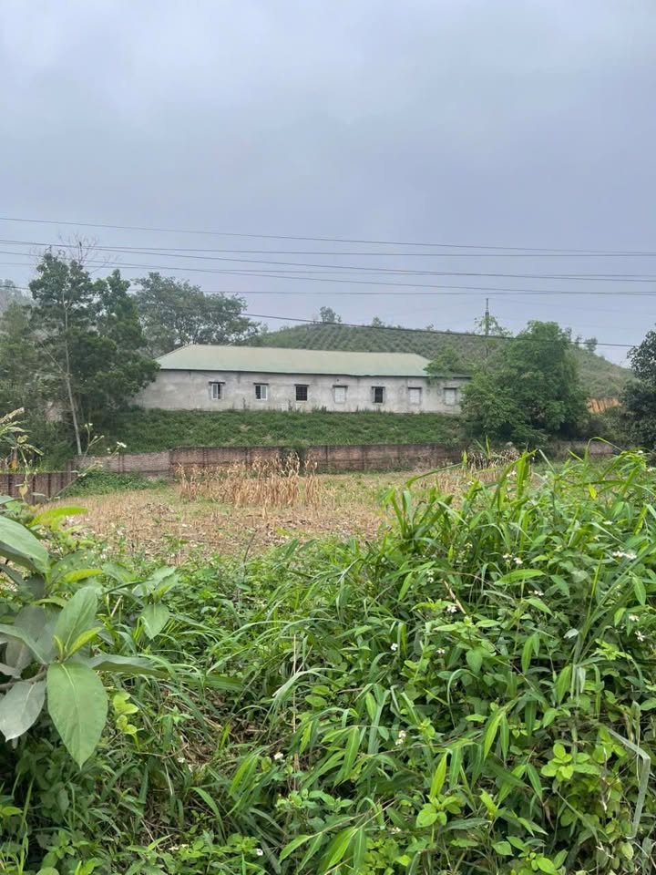 Đất nền Thanh Thủy, Thanh Sơn 810m² - Tiềm năng tăng giá vượt trội!