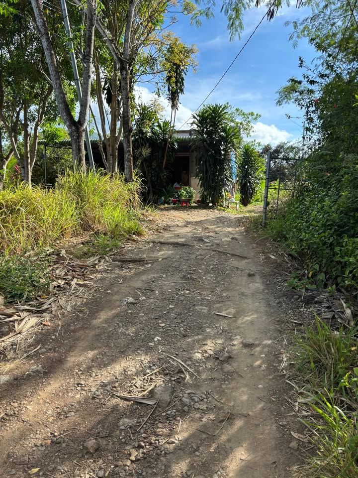 Đất nền Xuân Định, Xuân Lộc 2800m² giá 1.2 tỷ - Sổ đỏ chính chủ!