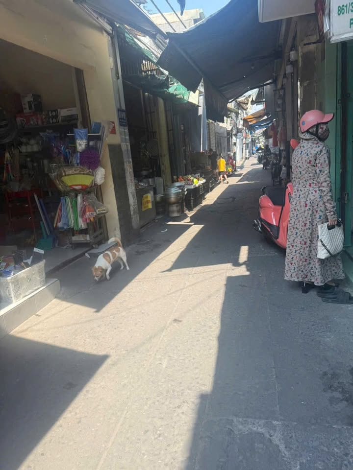 Nhà 3 Tầng 18m² Trần Xuân Soạn, Q7 - Sổ Hồng Riêng, Giá 2.96 Tỷ