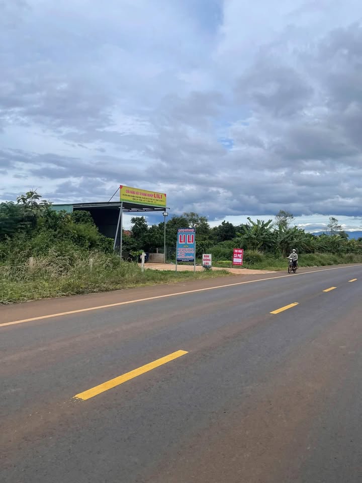 Đất Mặt Tiền Kinh Doanh Pleiku - 1235m² Sẵn Sàng Làm Kho Xưởng