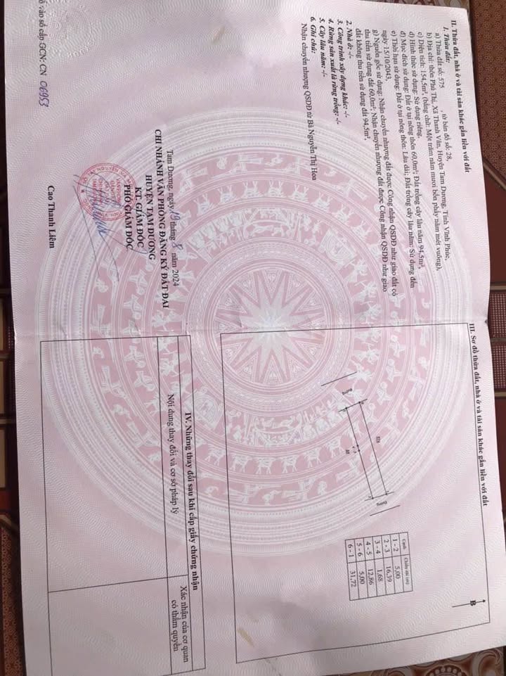 Đất nền Phú Thị, Tam Dương 154.5m² - Đường ô tô tránh, tiềm năng tăng giá!