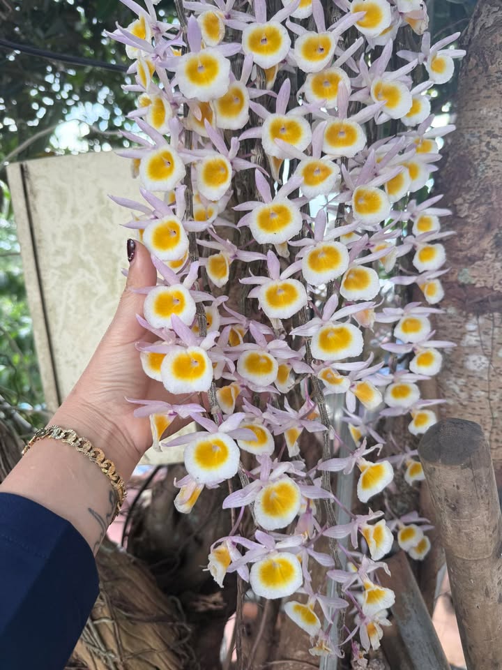 Bán đất 360m² Xã Tân Kiên, Bình Chánh - 900 Triệu