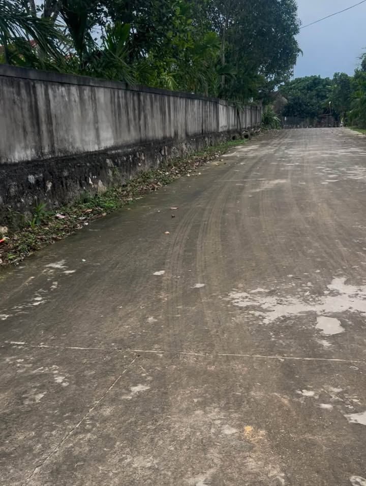 Đất nền Trung Sơn Đô Lương 300m² - Tiềm năng tăng giá vượt trội!