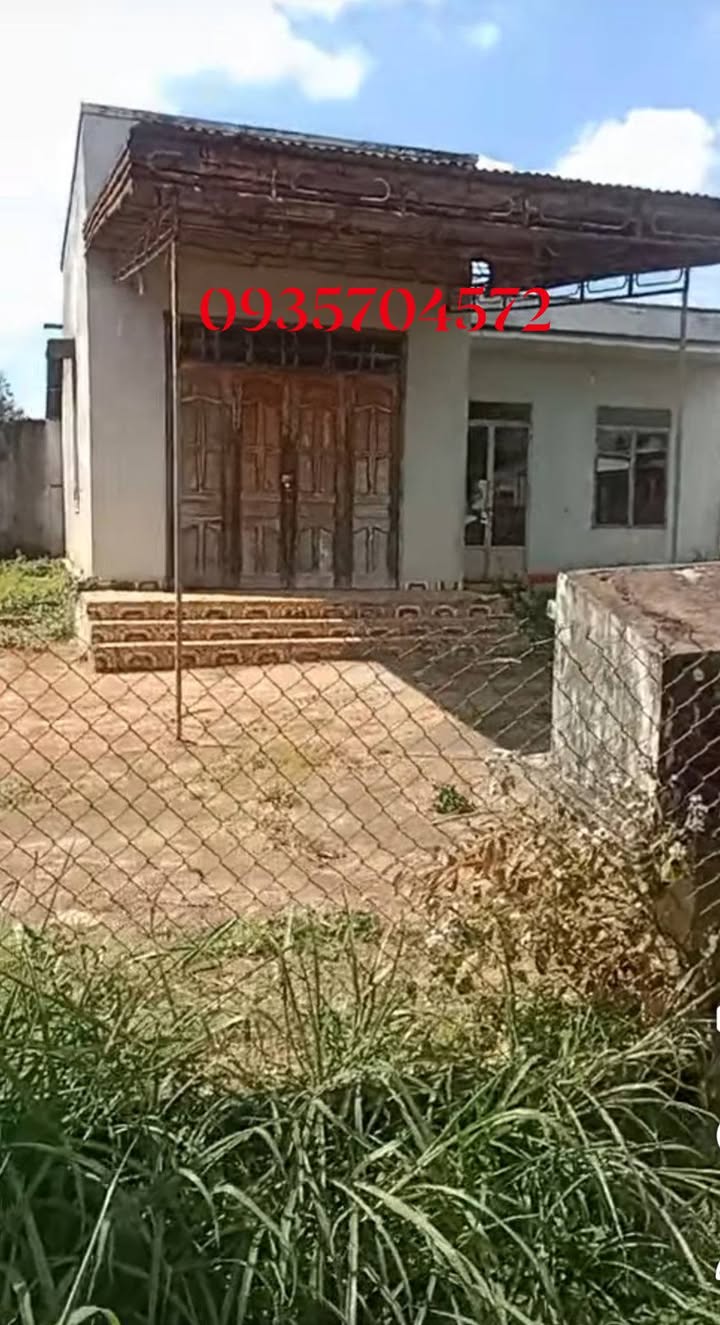 Đất nền Hòa Tiến, Krông Pắc 1785m² - Tiềm năng tăng giá vượt trội!