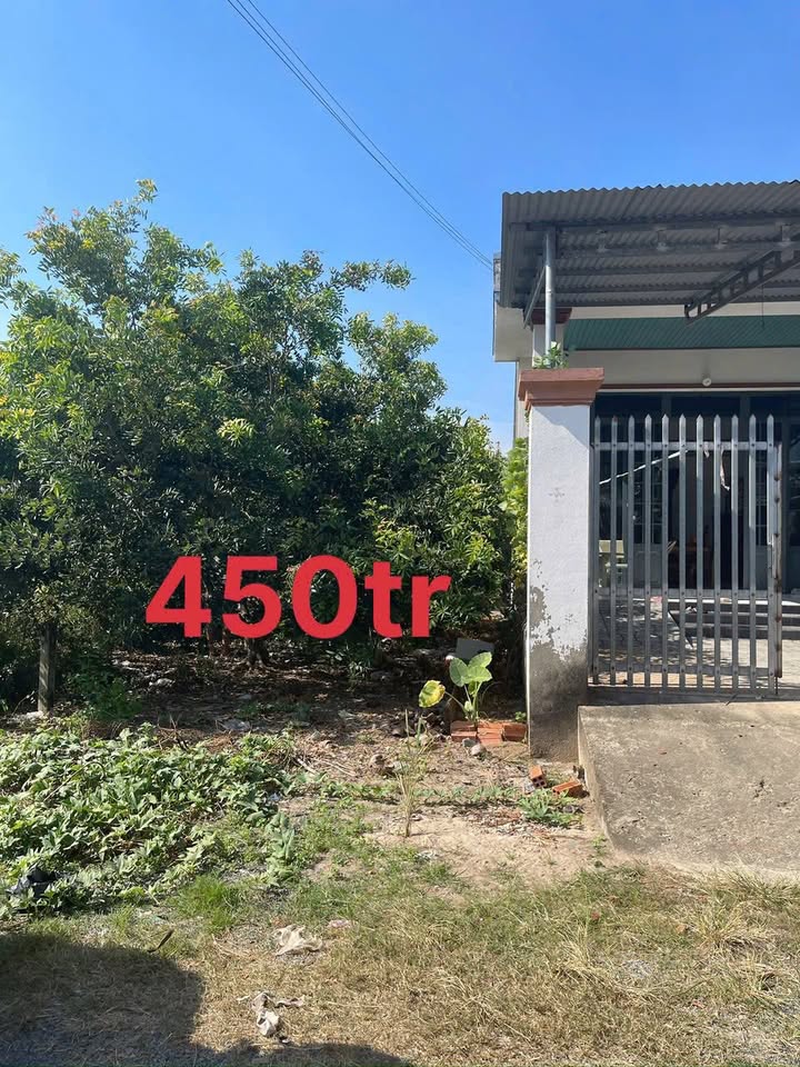 Đất nền Trường Đông 128m² giá 450 triệu - Tiềm năng tăng giá!