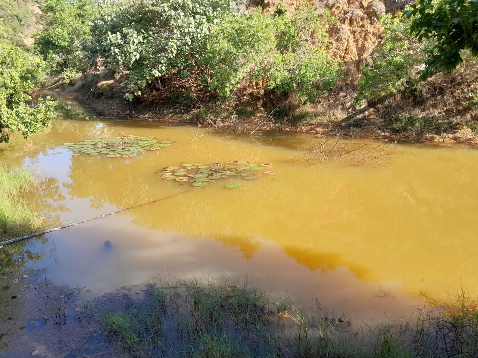 Đất nền 3.2ha Xã Đăng Hà, Bù Đăng - Giá 850 triệu, tiềm năng tăng giá!