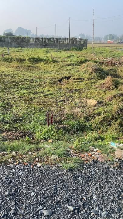 Đất nền Đức Hòa Long An 52m² Sổ hồng chính chủ