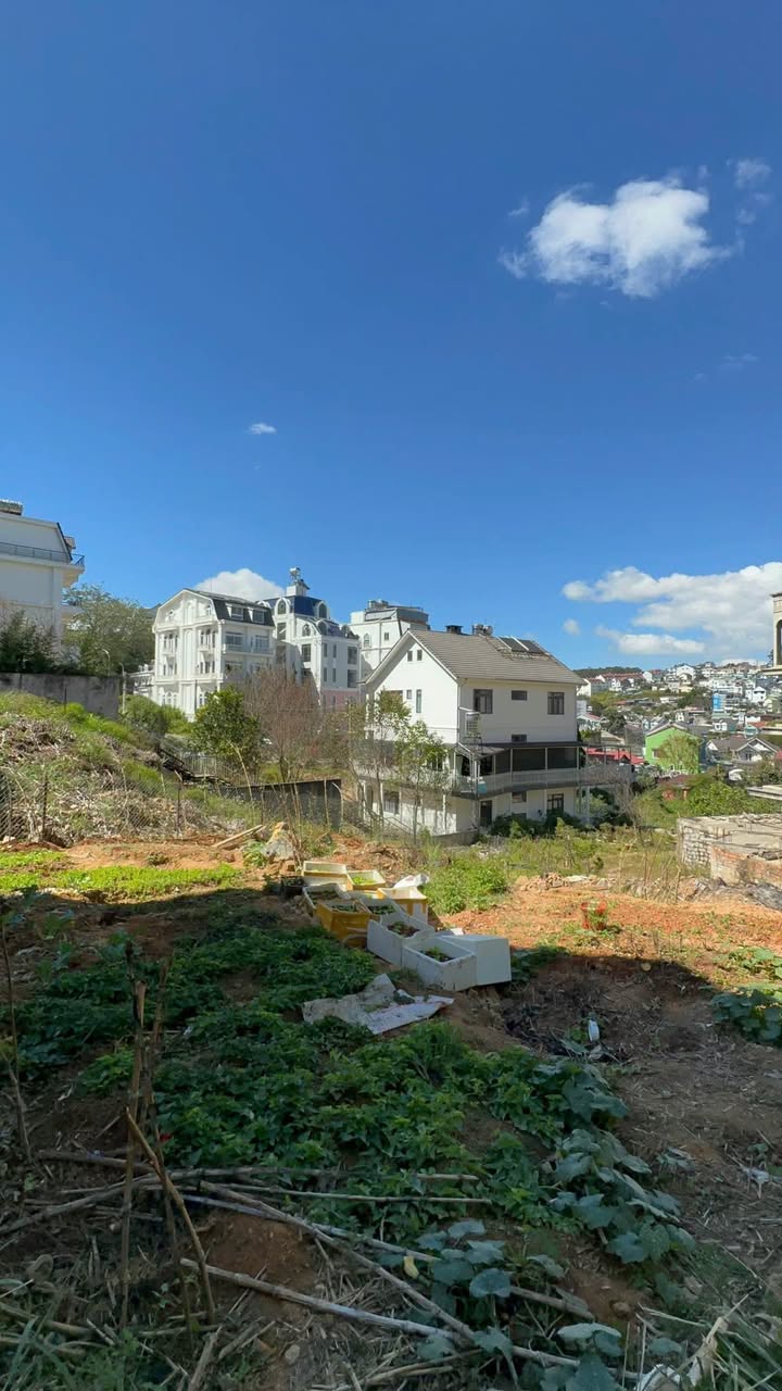 Đất xây dựng Tô Hiến Thành Đà Lạt 73m² - Vị trí đẹp giá tốt hiếm có