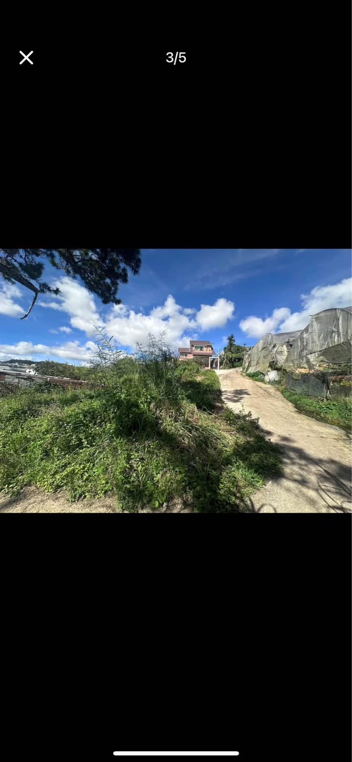 Đất nền Đồi Huy Hoàng Đà Lạt 2500m² - Tiềm năng tăng giá vượt trội!