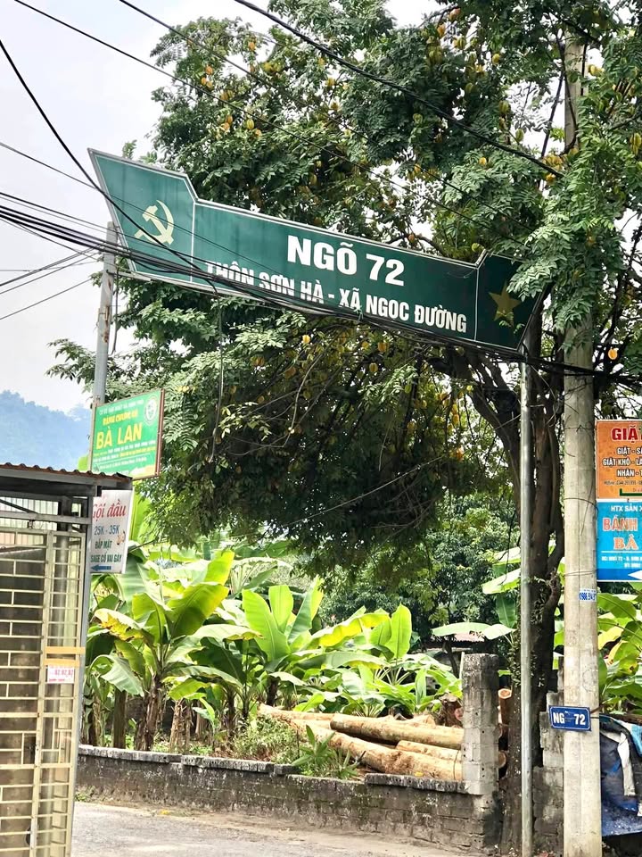 Đất thổ cư 100m² Ngọc Đường, Hà Giang - Sổ đỏ sẵn, giá 860 triệu