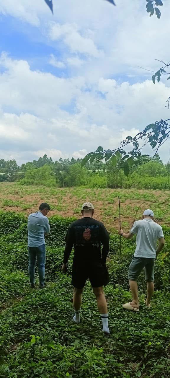 Bán Đất 1.5ha - 2ha Đồng Phú, Bình Phước - Sổ Đỏ Rõ Ràng