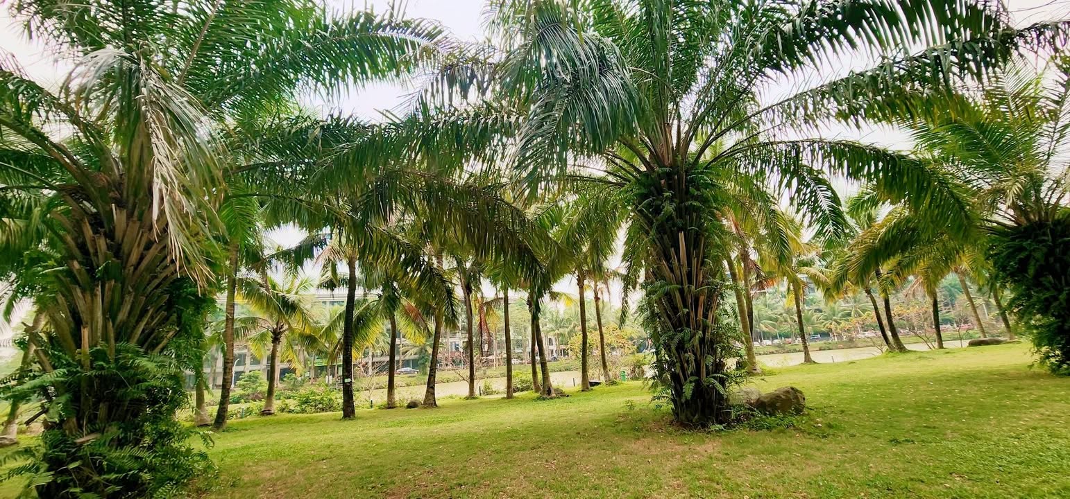 Căn hộ Aquabay Lake 2 102m² 7 tỷ - View đẹp trung tâm vịnh