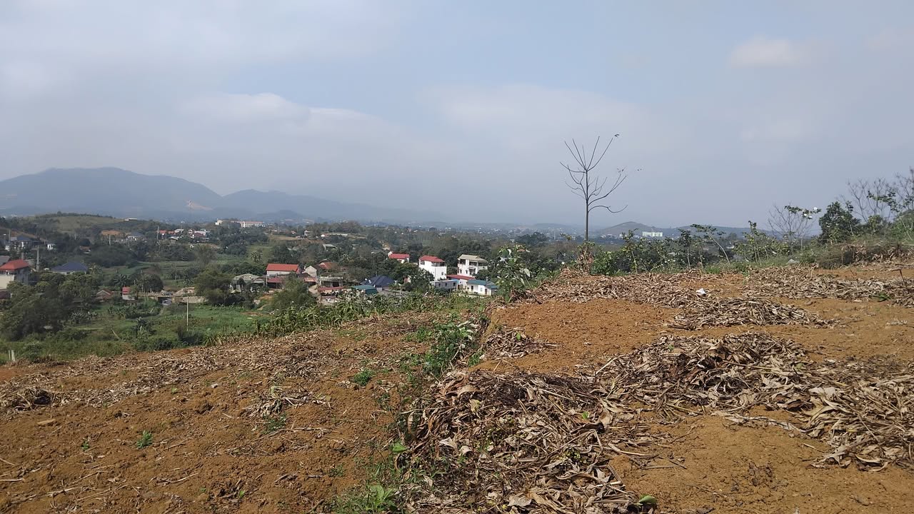 Đất nền Ba Vì, Hà Nội 5100m² - Nghỉ dưỡng lý tưởng!