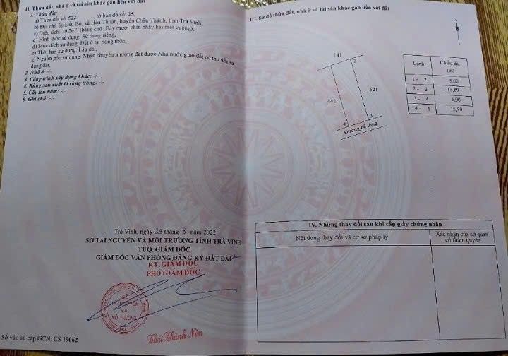 Đất thổ cư mặt tiền Đường Đanl, Tiểu Cần - 80m² giá 340 triệu