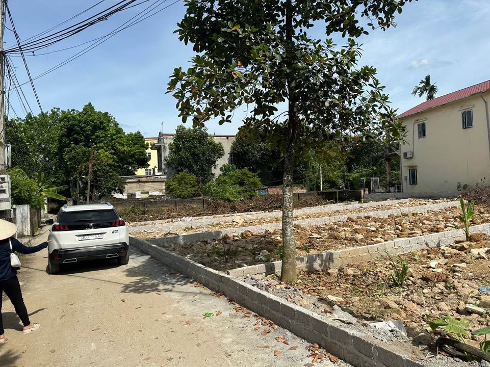 Đất nền Chương Mỹ, Hà Nội 124m² - Tiềm năng tăng giá vượt trội!