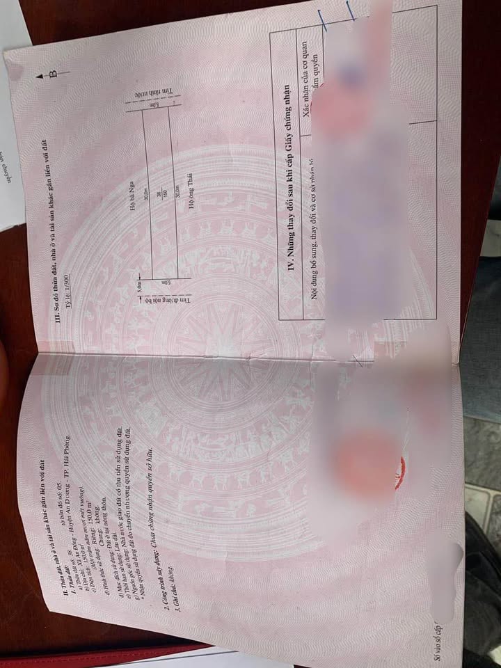 Đất nền An Dương 100m² - Sổ đỏ sẵn sàng, tiềm năng lớn!